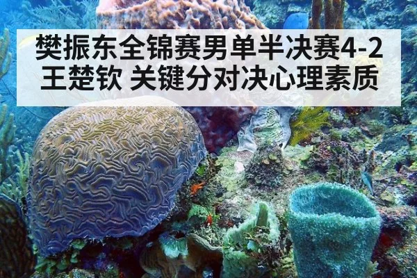 樊振东全锦赛男单半决赛4-2王楚钦 关键分对决心理素质